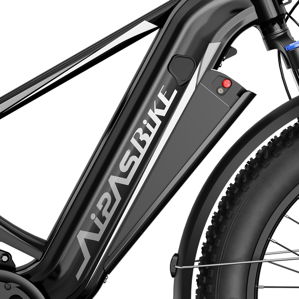 Aipas M2 Xterrain Ebike Aipas-M2-black Basket